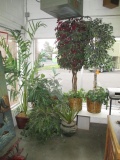 FAUX PLANTS