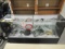 GLASS DISPLAY CASE W/CONTENTS