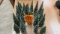 :Lot of 26 wooden tree decor items