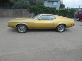 1973 FORD MUSTANG FASTBACK