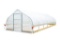 12' X 30' CLEAR FILM TUNNEL GREENHOUSE