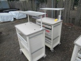 (2) PLASTIC MEDICAL CARTS