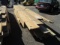 LOT OF ASSORTED SIZE & LENGTH BOARDS
