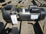 DAYTON SPRINKLER PUMP