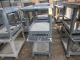 (2) PLASTIC SHOP CARTS