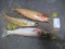 Stringer of 3 Trout taxidermy