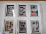 6 - Shadow box fly displays