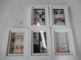 5 - Shadow box fly displays