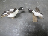 2 - Duck mounts