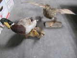 2 - Duck mounts