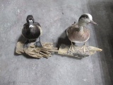 2 Duck mounts