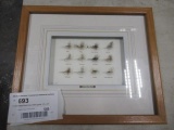 Framed Mark Roth Flies 1994 signed 11'' x 13''