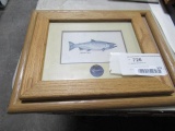 2 - Walnut framed fish art