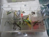 5 - Small Organizers assorted lures