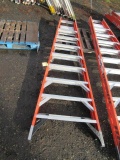 WERNER 10' FIBERGLASS LADDER