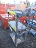 (2) 2 SHELF PLASTIC CARTS