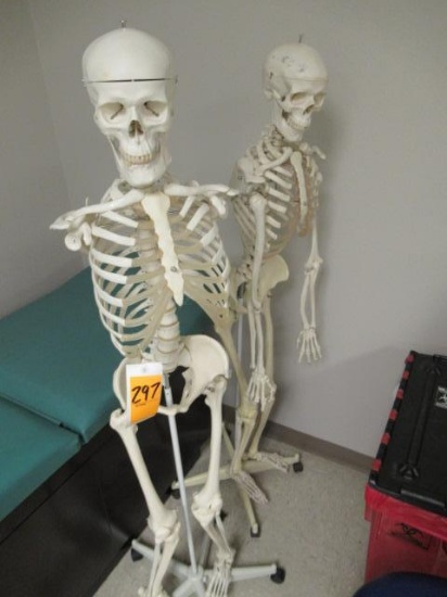(2) SKELETONS W/STANDS