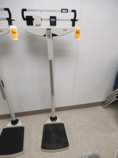 SECA SCALE
