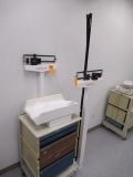 (2) DETECTO SCALES & MEDICAL CART