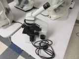 WOLFE MICROSCOPE