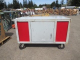 65'' X 28'' 38 1/2'' ROLLING METAL STORAGE CART