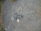 LOT W/ (3) PRESSURE WASHER WANDS & ROLL OF PRESSURE WASHER HOSE