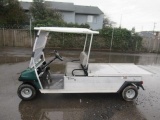 2014 TURF CARRYALL B GOLF CART