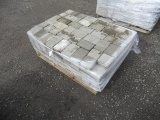 ASSORTED SIZE STEPPING STONES/BRICKS