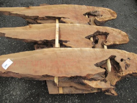 (9) PIECES OF ASSORTED BLACK WALNUT LIVE WOOD CUTS