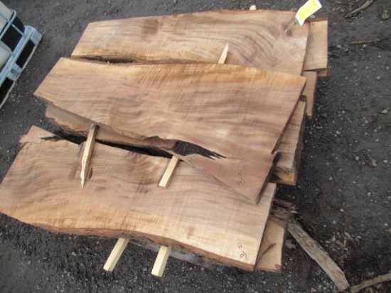 (10) PIECES OF ASSORTED BLACK WALNUT LIVE WOOD CUTS