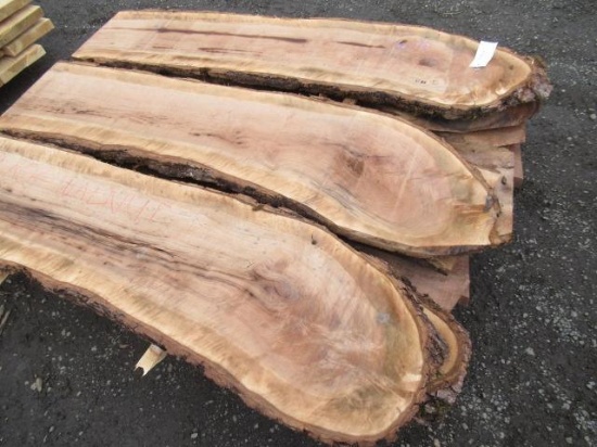 (12) PIECES OF ASSORTED BLACK WALNUT LIVE WOOD CUTS