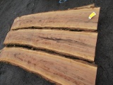 (6) PIECES OF ASSORTED BLACK WALNUT LIVE WOOD CUTS