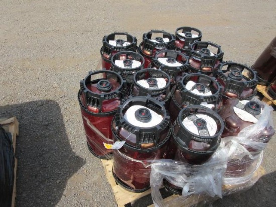 (13) ASSORTED KEGS, *EMPTY - NOT CLEANED