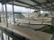 1993 CHAPARRAL SIGNATURE 31 FIBERGLASS BOAT
