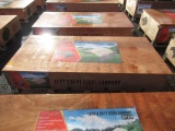 2025 CP2020 20' X 20' STEEL CARPORT (UNUSED)