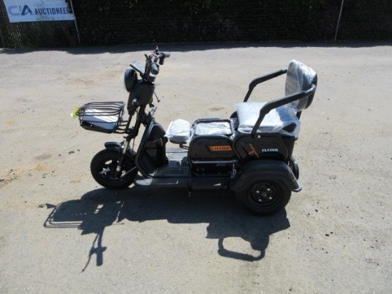 2025 FUTURE FT-D3 2-PERSON 3-WHEEL ELECTRIC CART (UNUSED)