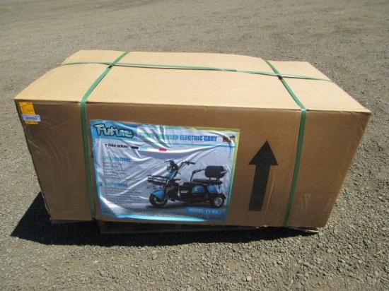 2026 FUTURE FT-D3 3-WHEELED ELECTRIC CART, 500W MOTOR, 48V (UNUSED)