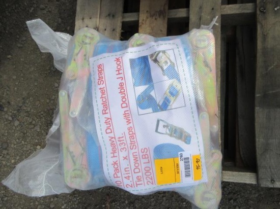 (10) 2.4'' X 33' HEAVY DUTY RATCHET STRAPS W/ DOUBLE J HOOKS (UNUSED)