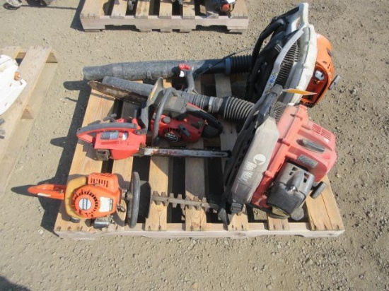 (3) GAS CHAINSAWS & (2) GAS BACKPACK BLOWERS *OPERATING CONDITION UNKNOWN*