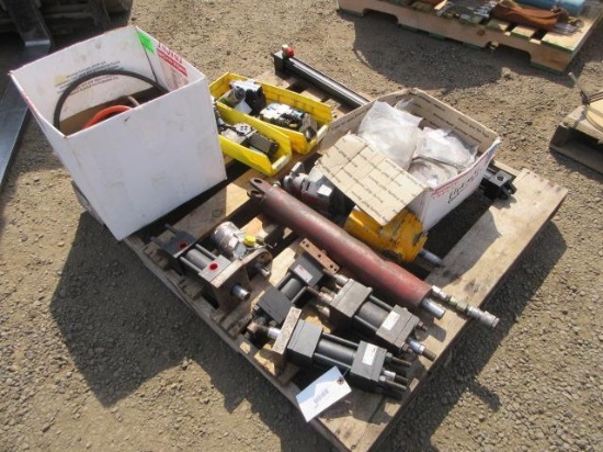 ASSORTED HYDRAULIC RAMS, HOSES, VALVES, & SEAL RINGS