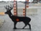 3/8 AR500 Steel Deer Shooting Target