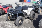 Trail Boss 250 2 Stroke ATV