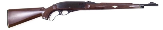 Remington Nylon 76 .22 lr