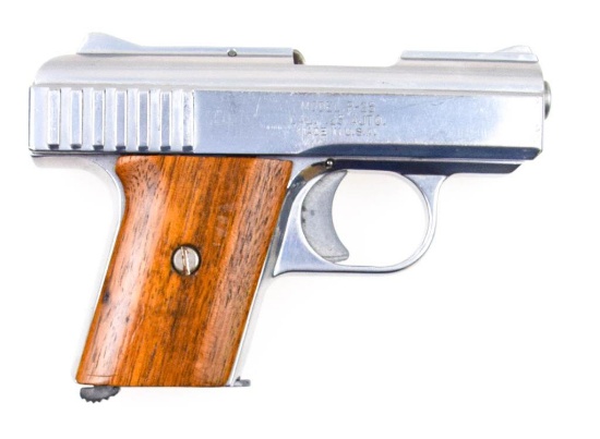 Raven P-25 .25 ACP