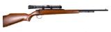Remington Model 582 .22 sl lr
