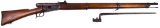 V. Sauerbrey Vetterli Model 1869/71 Rifle .41 Swiss