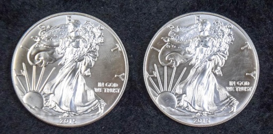 2015 American Eagle Proof Coin