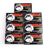 Wolf 5.45x39mm Ammo