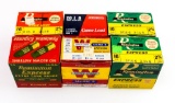 Assorted shotgun shells