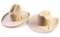 (2) Stetson Western Hats